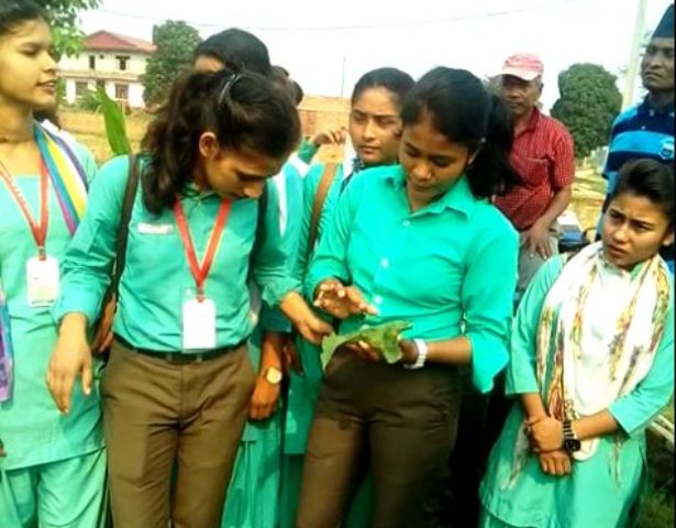 IPM Krishak Pathshala Hetauda-Murchunga TV 1